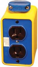 Ericson 6001-1 - BX W/(2) DPLX 5-15 RCPT NO CRD