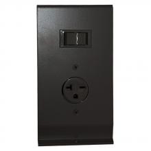 TPI 3900ACC - 20A 125/277V AC RCPT for 3900, Brn