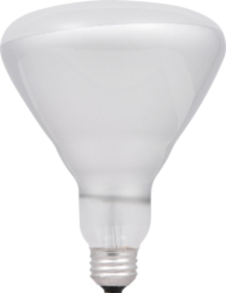 300BRFL120V 24/CS 1/SKU