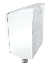 RAB Lighting PIP30YW/D10 - PIPFLOOD 30W 3000K  LED DIM WH