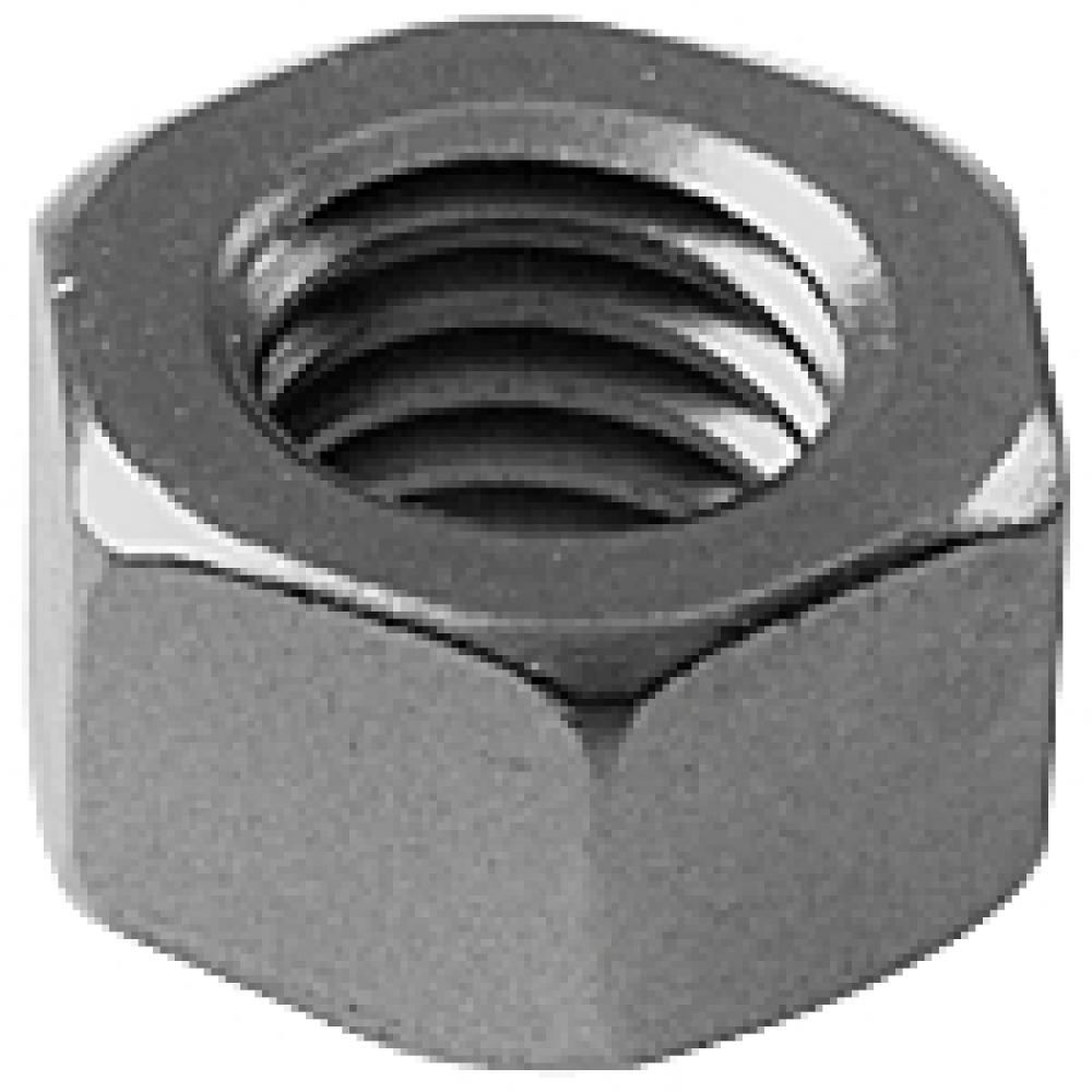 1/2IN HEX NUT SS